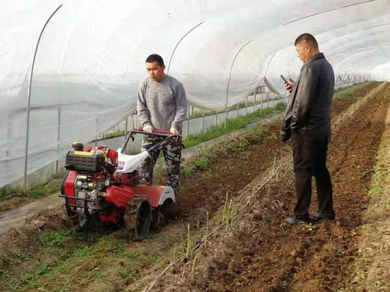 來自河南、山東、新疆的客人在種植園考察